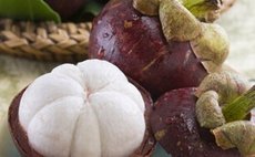 Mangosteen fruit