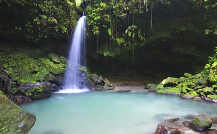 Dominica's Emerald Pool