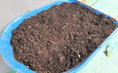 Compost in a wheel barrow