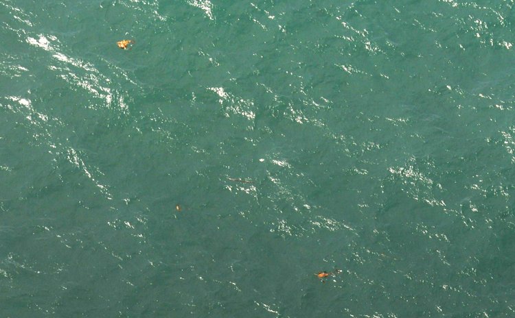 BANGKA-BELITUNG, Dec. 30, 2014 (Xinhua) -- Photo taken on Dec. 30, 2014 from a plane of Indonesian Air Force shows floating objects in waters near Bangka-Belitung and Kalimantan, Indonesia. 
