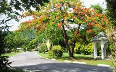 Main road at the Botanic Gardens