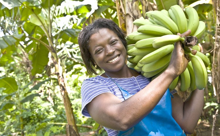 Banana farmer (FairTrade photo)