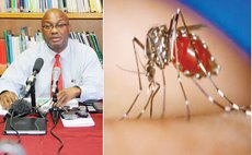 Dr David Johnson and Zika-spreading mosquito