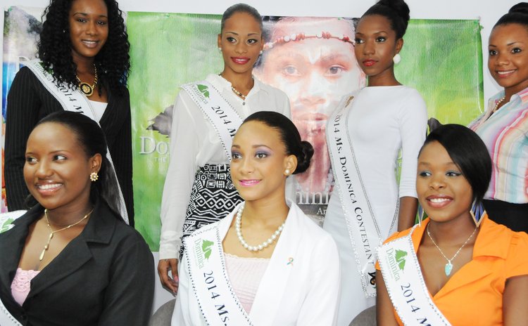Road to Miss Dominica 2014 DSC_1327-crop-box.jpg.750x464_q85_crop-smart_upscale