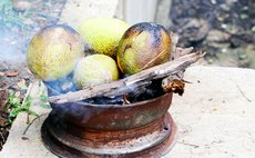 Breatfruit roasting on an open fire, smoke burning your nose...