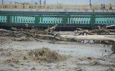 Large tree trunks swim in the Roseau River