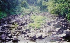 Almost-dry river in the north east of Dominica