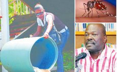 Environmental Health Officer empty drum; Jefferson Scotland, Chief Environmental Health Officer; engorged mosquito