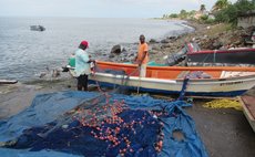 Fisheries in Dominica (FAO photo)