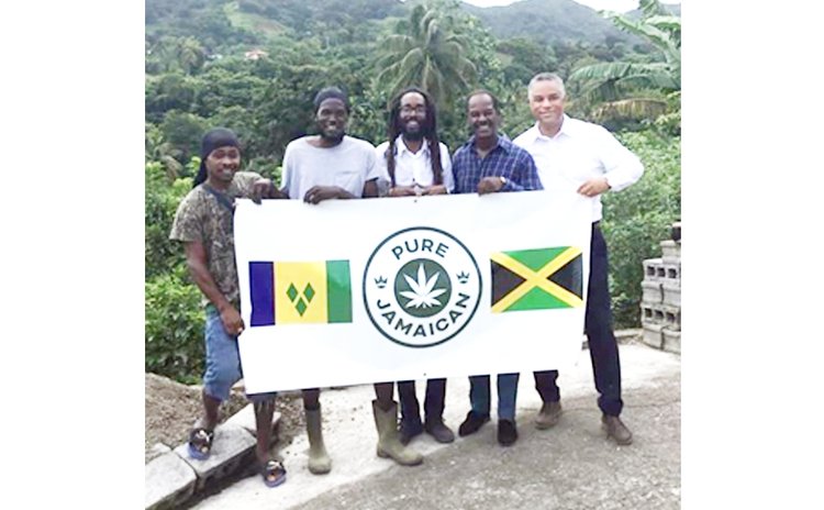 Donating Ganja seeds to St. Vincent & the Grenadines