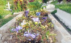 A Grave at the Roseau Catholic Cemetery like the one Shillingford fell into