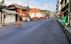 A dog crosses an empty Independence Street, Roseau during the curfew