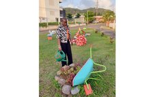 Jiselle Allport waters plants at Kings Square