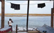 Man takes photo os Sargassum seaweed at Pottersville