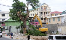 Pedestrians walk by as tree is cut
