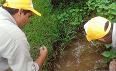 MISIONES, Feb. 5, 2016 (Xinhua) -- Sanitary technicians take samples of larvae of the Aedes aegypti mosquito, that transmit the Zika, Dengue and Chikungunya virus, in a pond in Argentina 