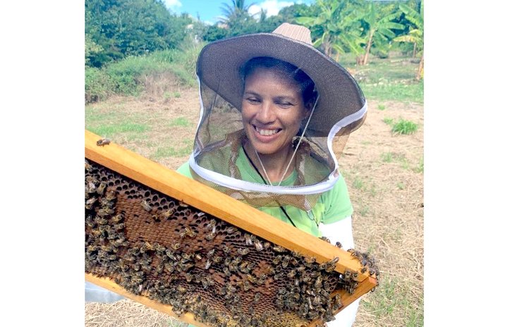Terri Henry and one of her hives