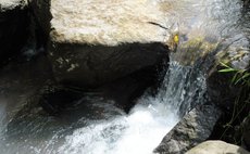 Typical Dominica water source; this one is in the heights of Salisbury