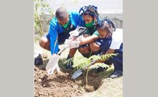 Children planting trees 