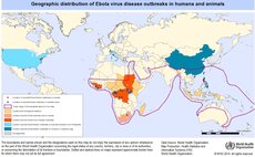 Geographic distribution of ebola