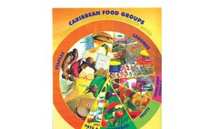 Diagram of Caribbean Food Groups