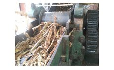 Crushing cane to make rum at Macoucherie Estate