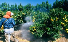 Man spraying pesticide