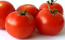 Tomatoes