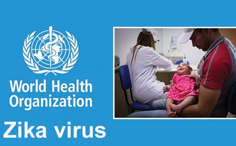 WHO declares ZIKA virus world health emergency